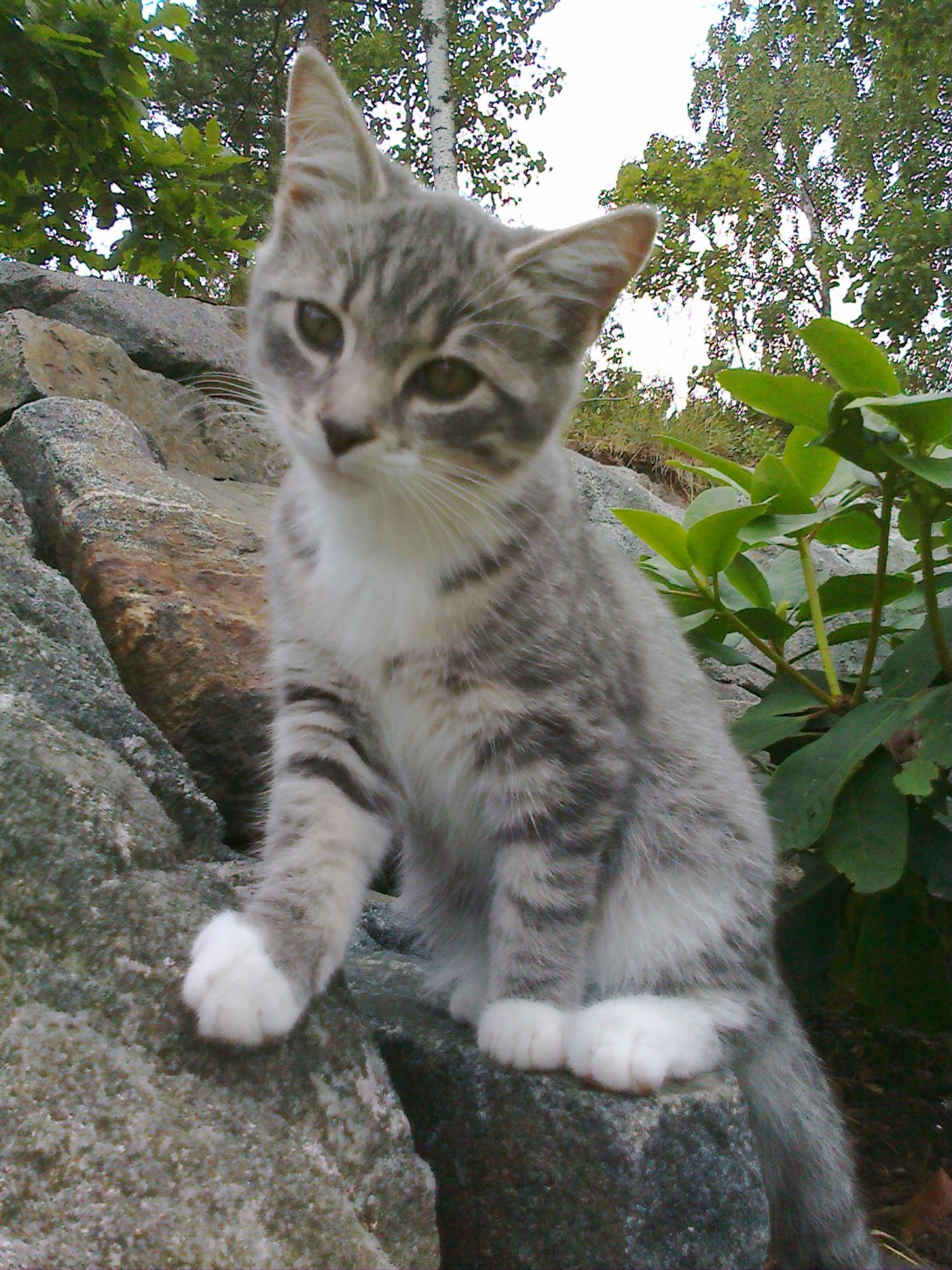 21072010070 – Kopi.jpg